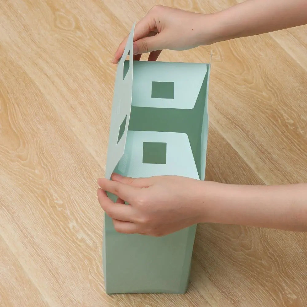 Transparent Stackable Shoe Box PP Drawer Organizer Dustproof Shoe Storage Box Richie's