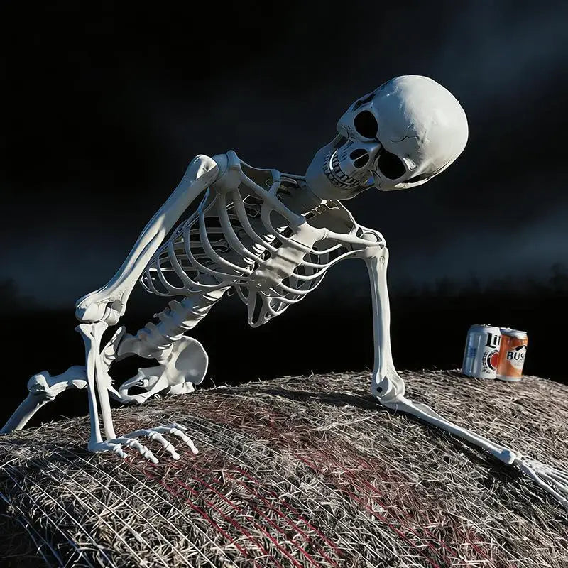 Posable Halloween Skeleton Prop – 15.7" Realistic Plastic Bones Halloween Skeleton Prop Richie's