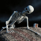 Posable Halloween Skeleton Prop – 15.7" Realistic Plastic Bones Halloween Skeleton Prop Richie's
