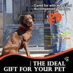 Dog Ear Muffs 29dB NRR Soundproof Pet Hearing Protection S/M/L Pet Ear Protection Richie's