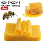 10 Pcs Beeswax Honeycomb Foundation Sheets – Beekeeping Beekeeping Foundation Richie's
