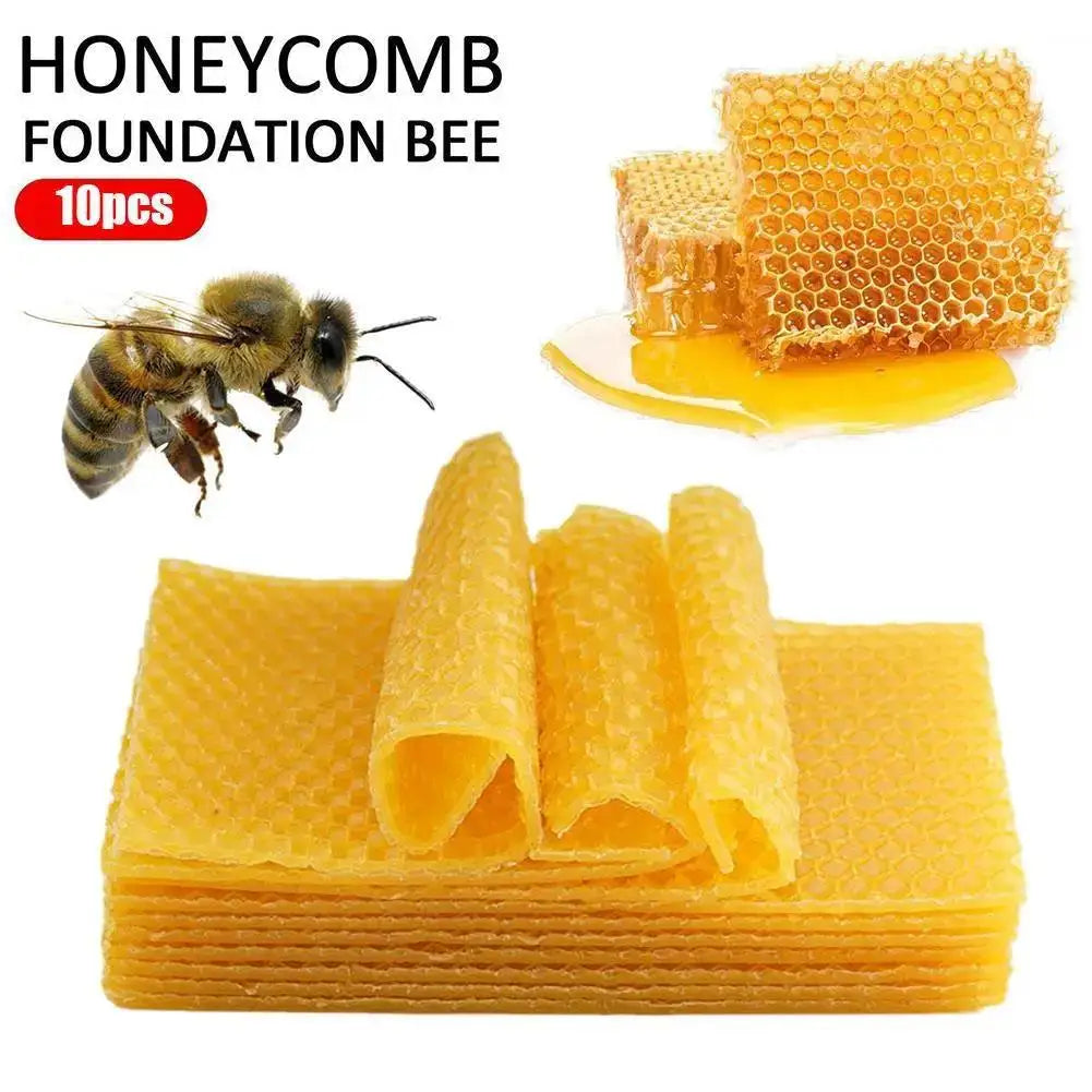 10 Pcs Beeswax Honeycomb Foundation Sheets – Beekeeping Beekeeping Foundation Richie's
