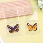 Butterfly Insect Specimen Resin Decor | Unique Gift for Girls Decorative Specimen Richie's