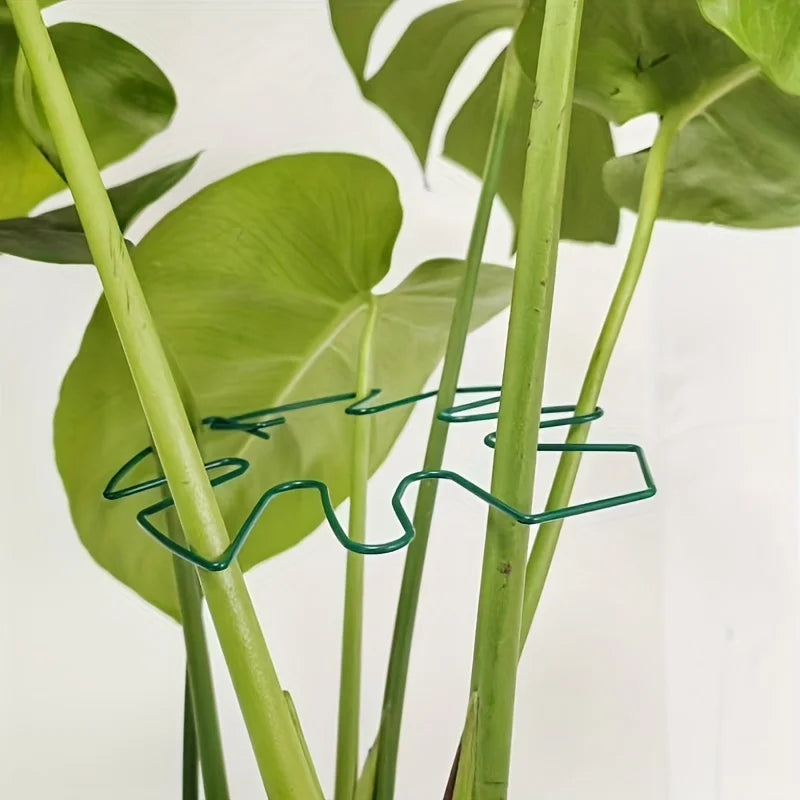 Large Iron Hanging Plant Stand Hook – Indoor & Outdoor Use Hanging Plant Stand Richie's