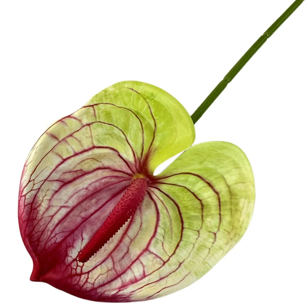 60cm Artificial Anthurium Flower – Real Touch Faux Plant Decor Artificial Flower Richie's Yellow-pink