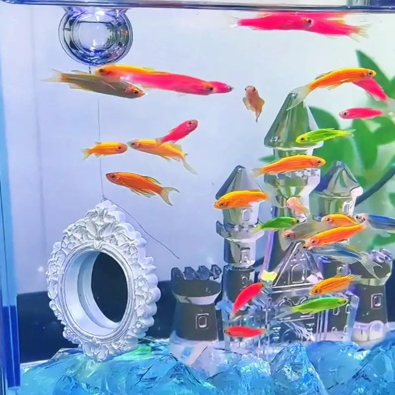 Floating Betta Fish Mirror Ornament – Vintage Retro Frame Aquarium Fish Toy Richie's