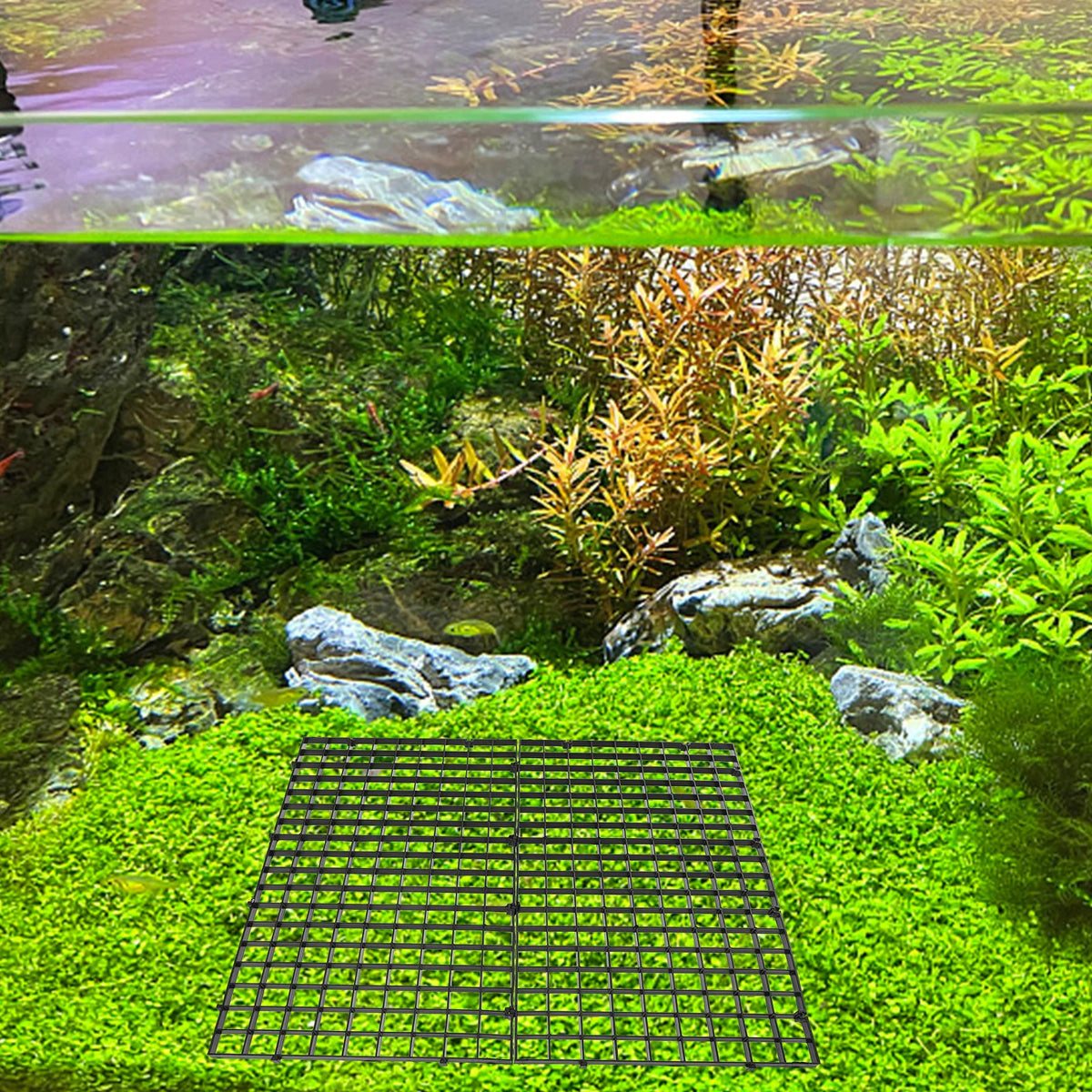 10Pcs Aquarium Grid Divider Panel – Fish Tank Separator Set Aquarium Divider Panel Richie's