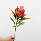 Flocked Artificial Emperor Protea Flower Large Silk Bloom 65cm Artificial Flower Richie's A-Orange