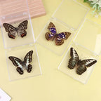Butterfly Insect Specimen Resin Decor | Unique Gift for Girls Decorative Specimen Richie's