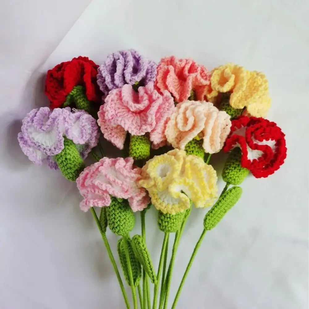 Handmade Crochet Carnation Bouquet – Colorful Knit Wool Flowers Crochet Flower Bouquet Richie's