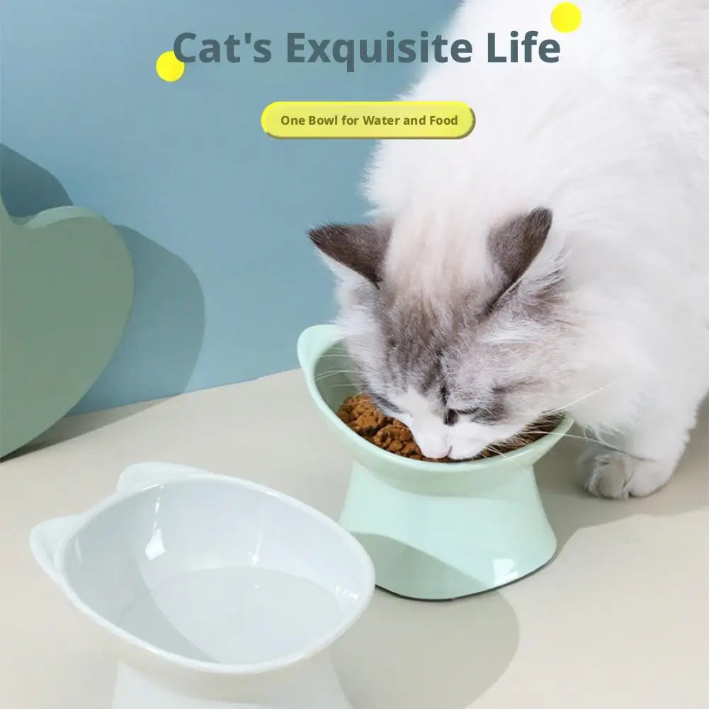 Tilted Elevated Cat Bowl | Whisker-Friendly Pet Feeder Elevated Pet Bowl Richie's