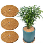 Coconut Coir Mulch Mat Tree Ring Weed Control 3-Pack Garden Mulch Mat Richie's