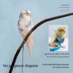 Elastic Parrot Traction Rope with Metal Buckle & Foot Chain Bird Training Leash Richie's