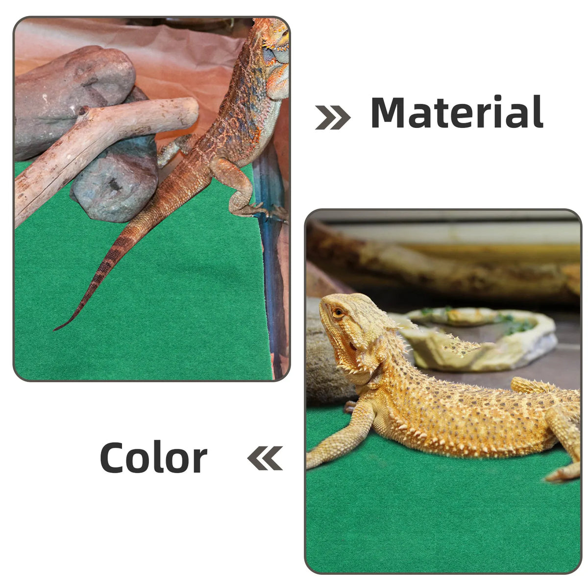 Waterproof Reptile Warm Mat 60x40cm – Tortoise & Lizard Pad Reptile Habitat Mat Richie's