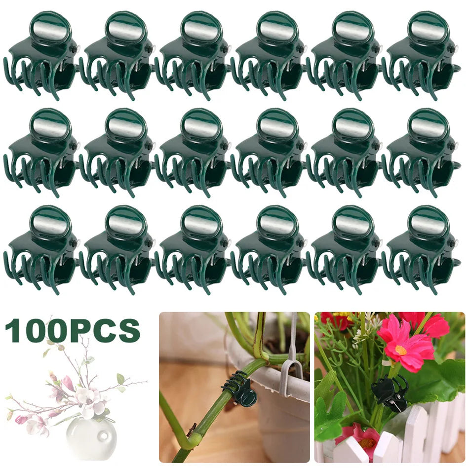 100pc Plant Support Clips for Orchids, Vines & Climbing Plants Plant Support Clips Richie's