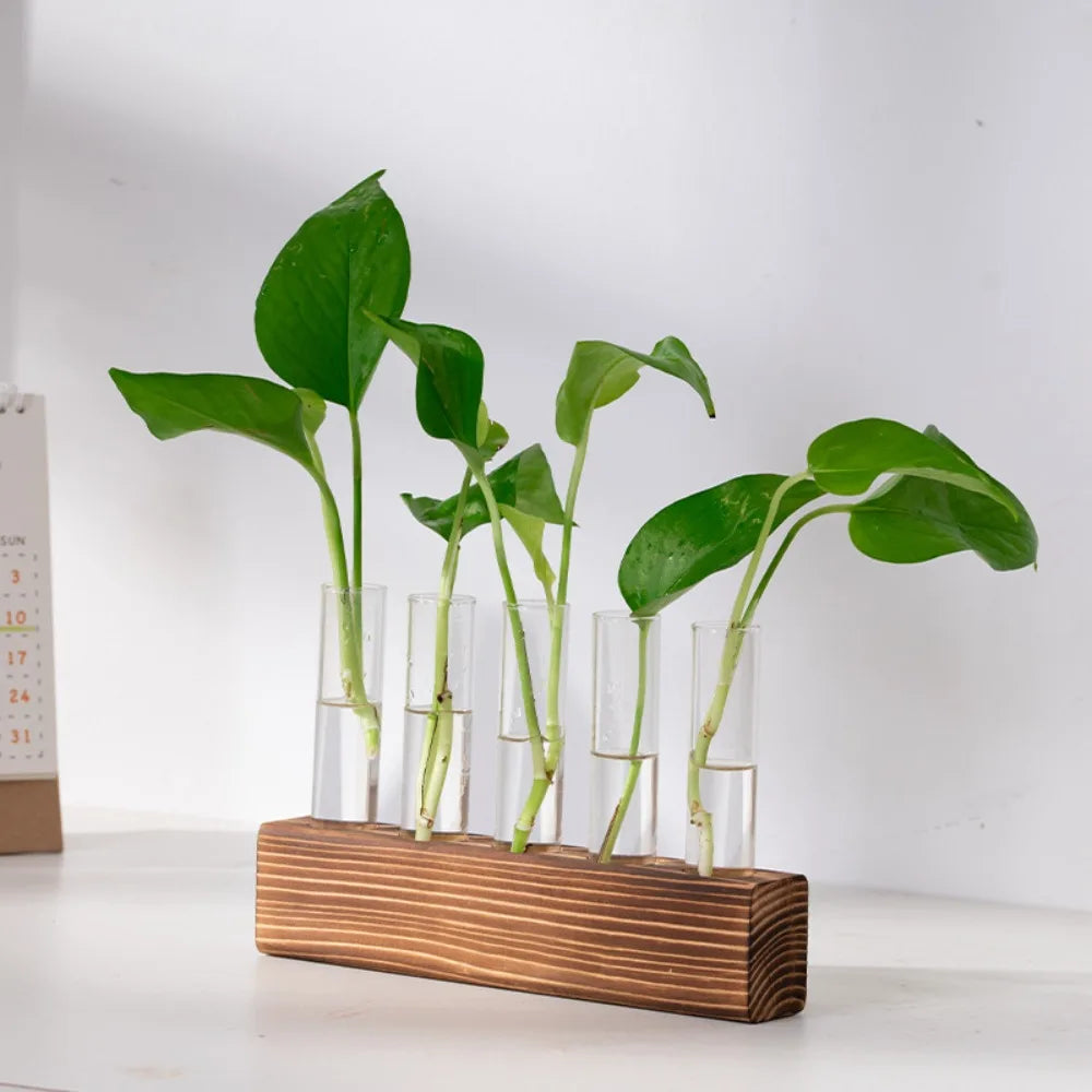 Wooden Stand Hydroponic Vase – Test Tube Minimalist Planter Hydroponic Vase Richie's 5 tubes