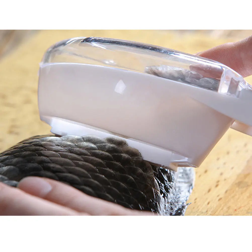 Fish Scale Scraper – Serrated ABS Plastic Descaler Tool Fish Scale Scraper Richie's