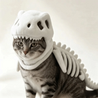 Dinosaur Skeleton Pet Costume – Halloween Cat & Dog Outfit Pet Halloween Costume Richie's