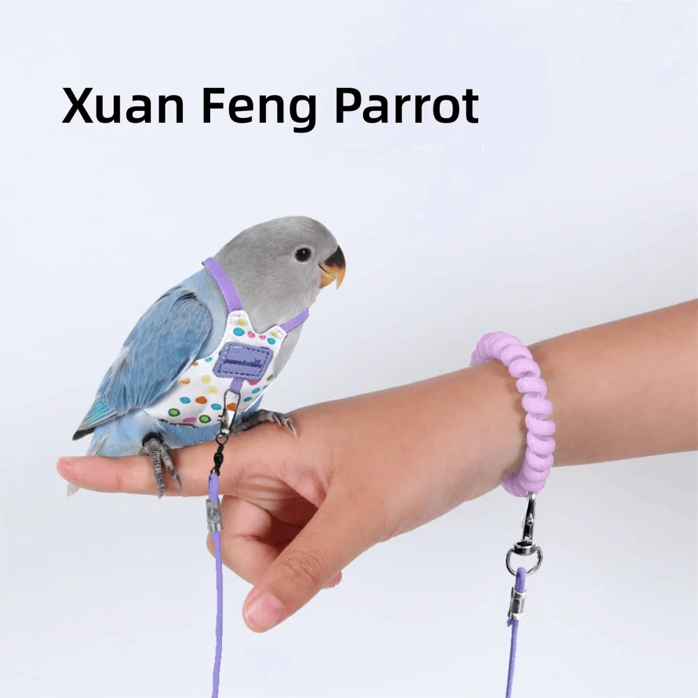 Adjustable Breathable Parrot Flight Harness & Walking Leash Bird Flight Harness Richie's Purple-Style4