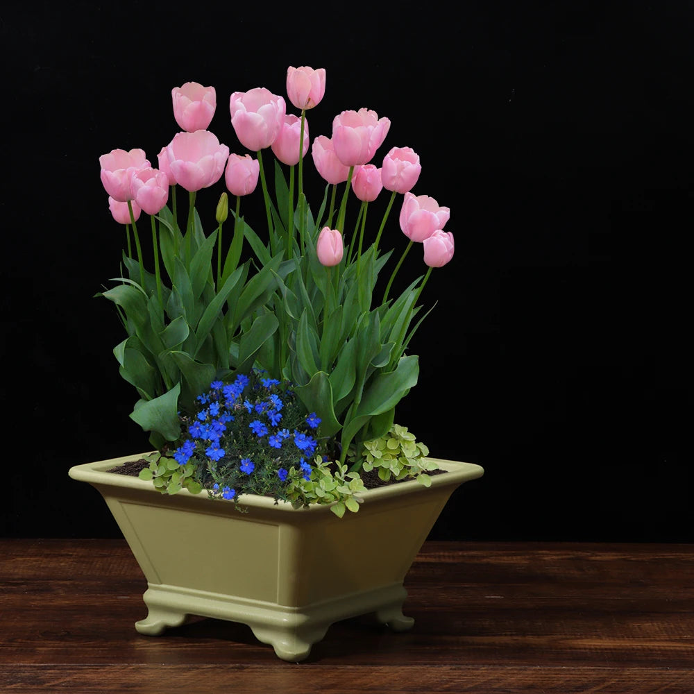 Imitation Purple Clay Plastic Flowerpot – Colorful Desktop Planter Decorative Planter Pot Richie's