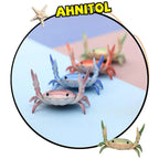 Funny Weightlifting Crab Pen Holder – Cute Desk Organizer Desk Pen Holder Richie's