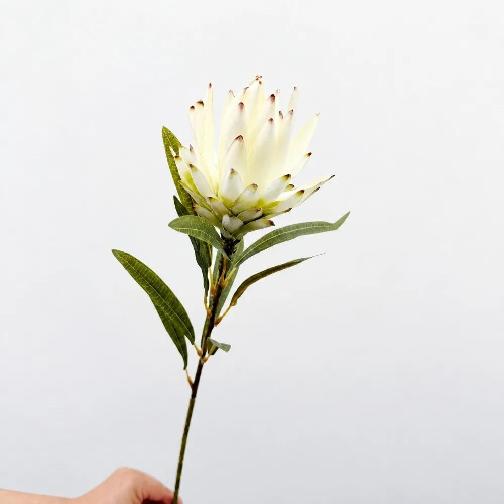 Flocked Artificial Emperor Protea Flower Large Silk Bloom 65cm Artificial Flower Richie's B-White