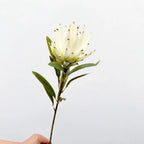 Flocked Artificial Emperor Protea Flower Large Silk Bloom 65cm Artificial Flower Richie's B-White