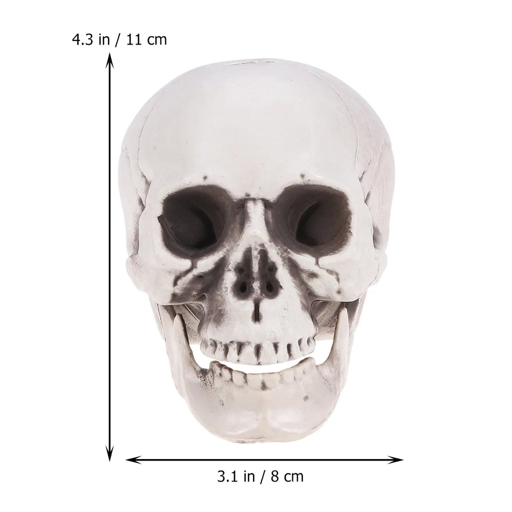 High Detail Skull Ornament – Halloween & Haunted House Decor Halloween Skull Ornament Richie's