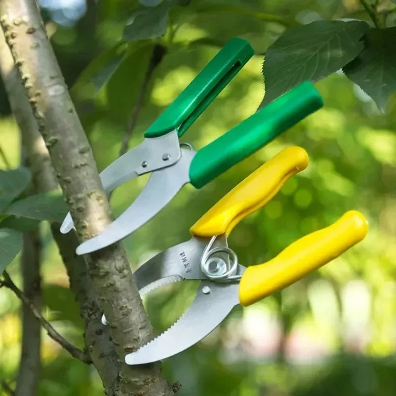 Tree Ring Girdling Shears – Sharp Bark Stripping Cutter Tool Pruning Girdling Shear Richie's
