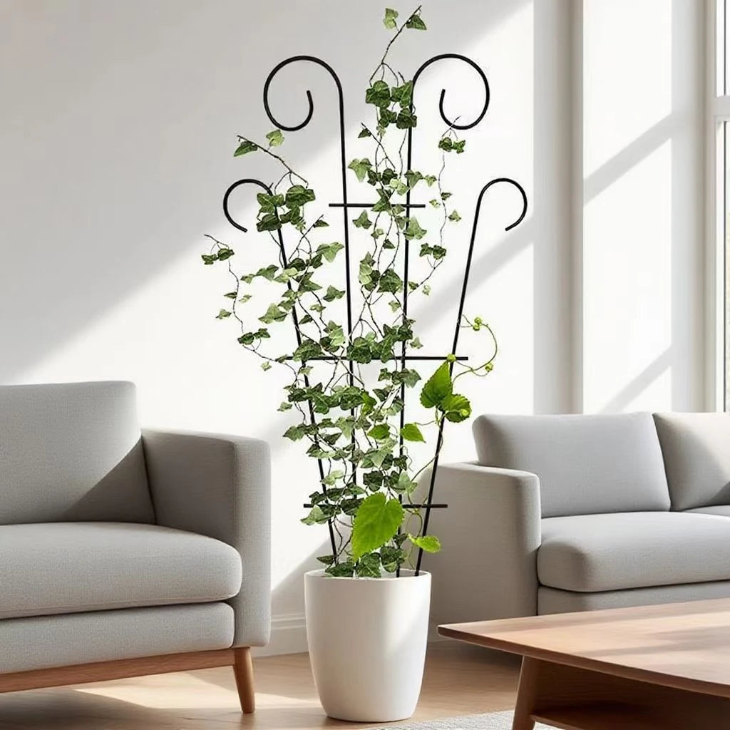 Iron Plant Climbing Support Frame – Tomato & Flower Trellis Plant Support Frame Richie's