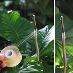 Grafting Budding Stretch Tape – PE Parafilm for Plants & Nursery Grafting Garden Tape Richie's
