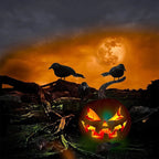 Realistic Black Raven Set – Halloween Decor Props Halloween Decor Prop Richie's