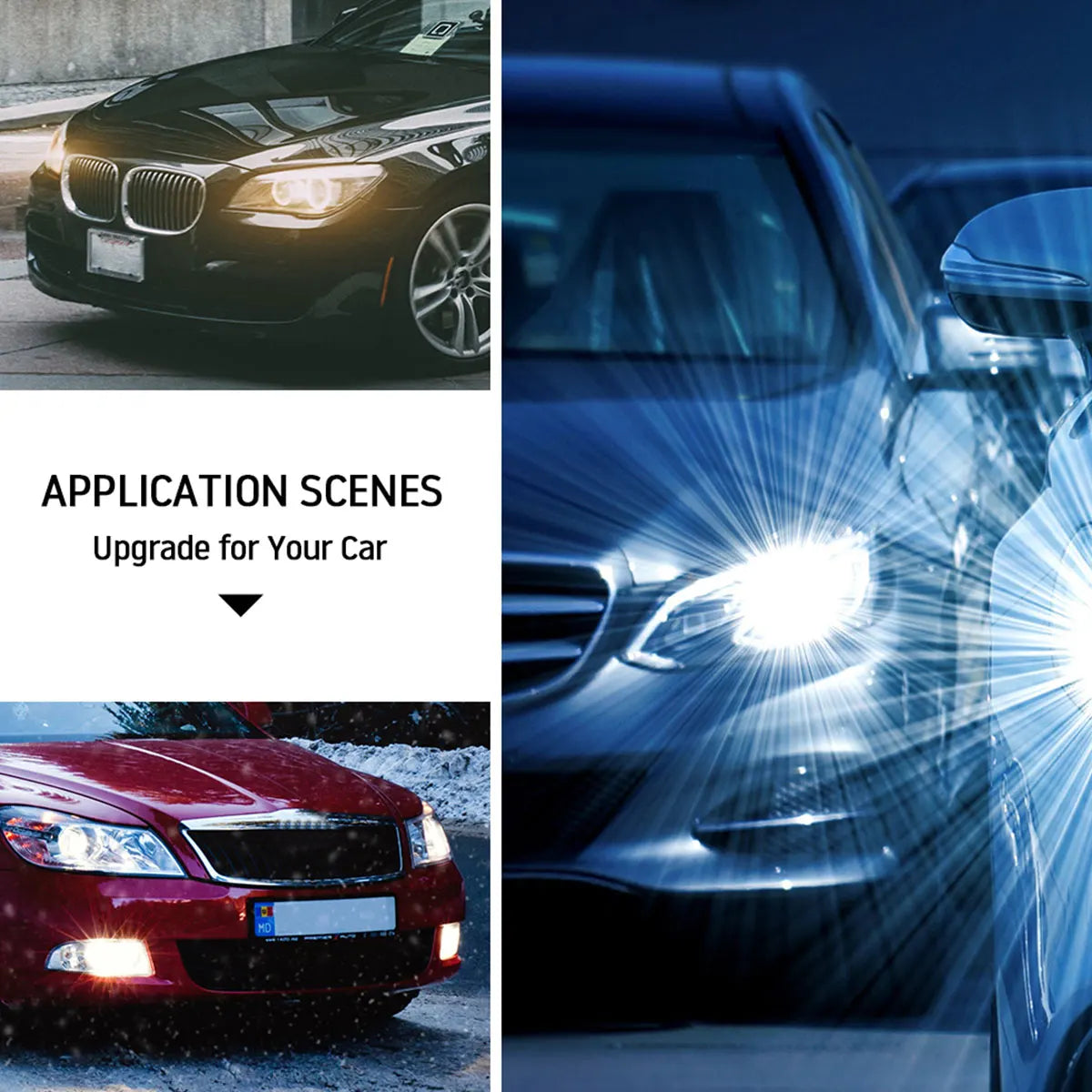 H7 100W Halogen Bulbs 6000K Super Bright Fog & Headlights Automotive Halogen Bulbs Richie's