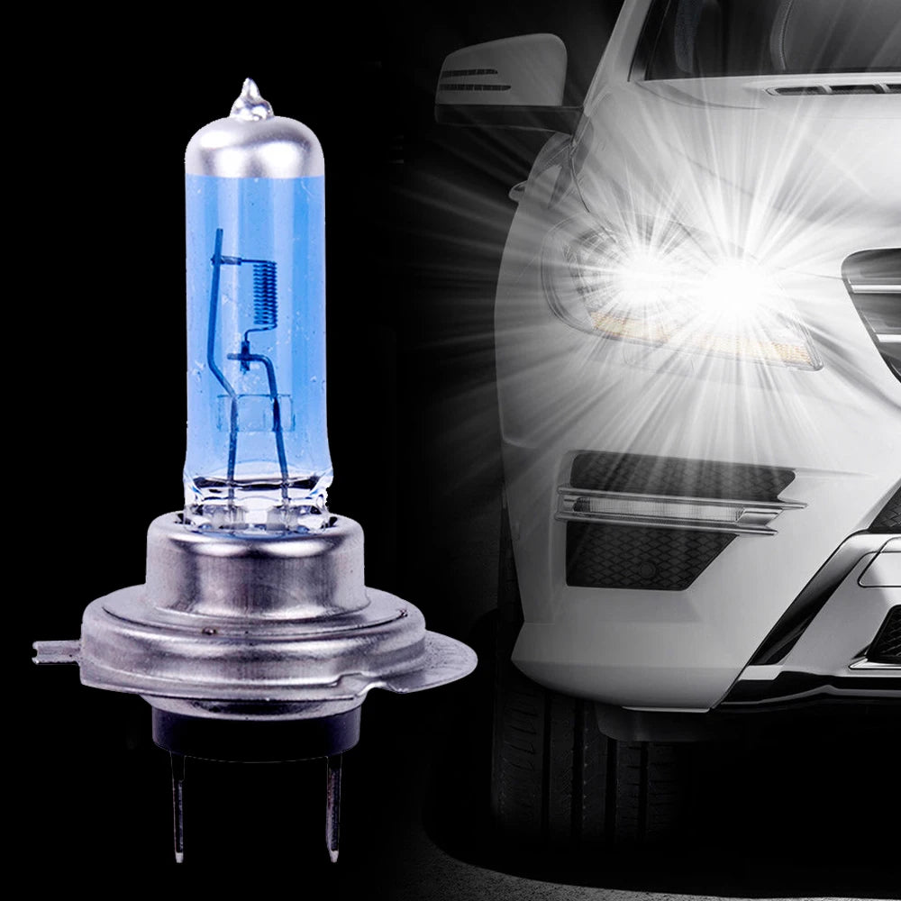 H7 100W Halogen Bulbs 6000K Super Bright Fog & Headlights Automotive Halogen Bulbs Richie's