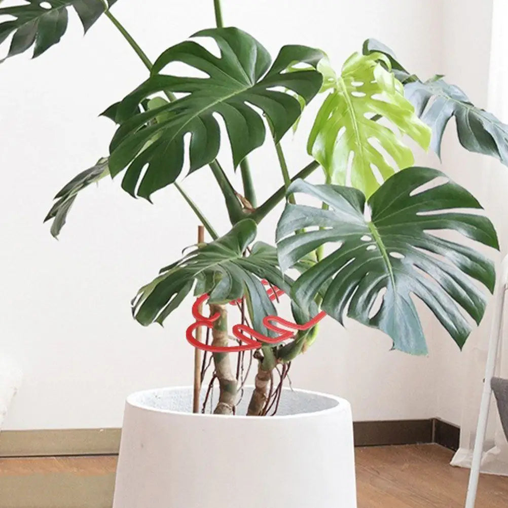 Monstera Plant Cage Trellis – Vertical Growth Support Frame Plant Support Trellis Richie's