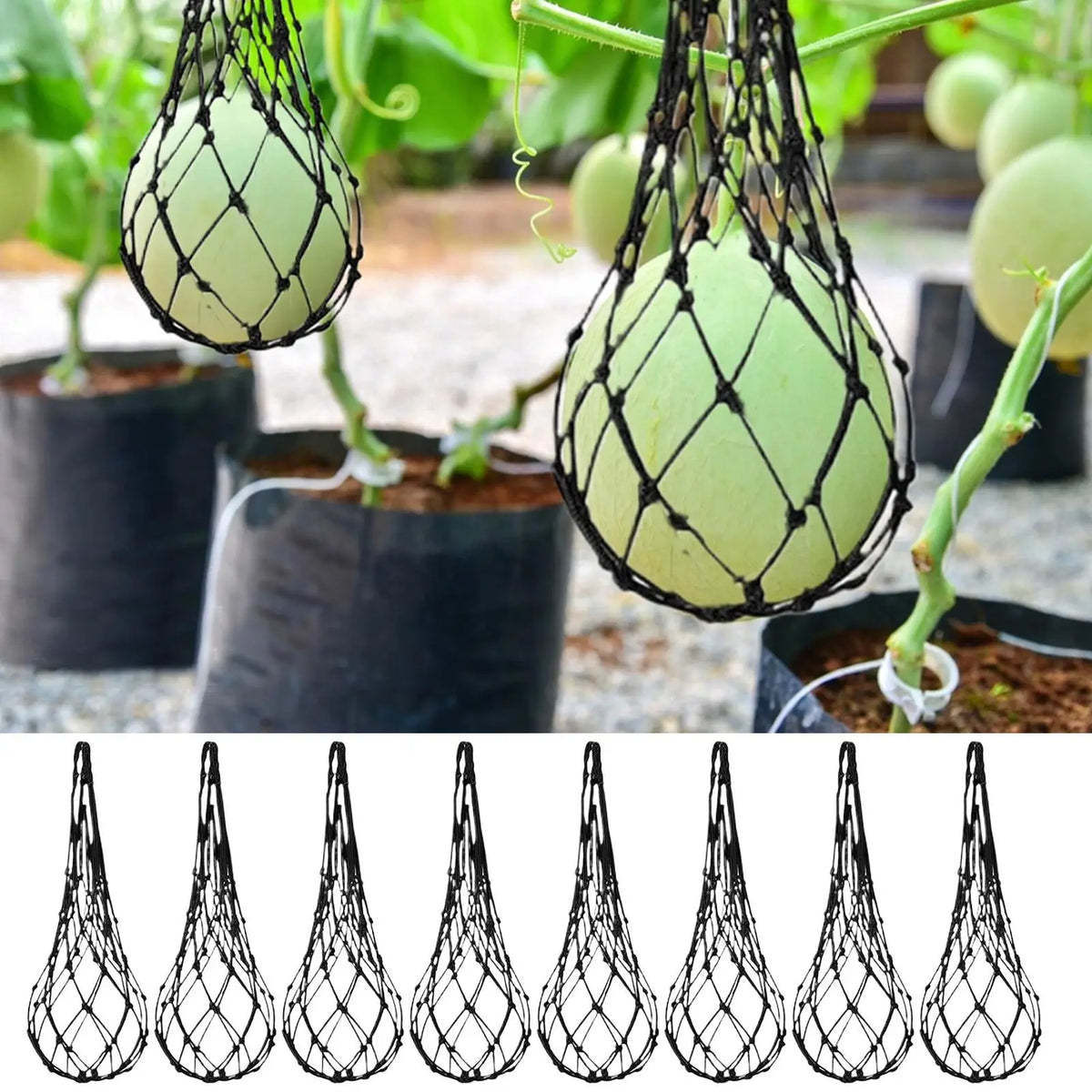 Watermelon Sling Net Hammocks 10-Pack – Fruit Growing Support Fruit Sling Net Richie's