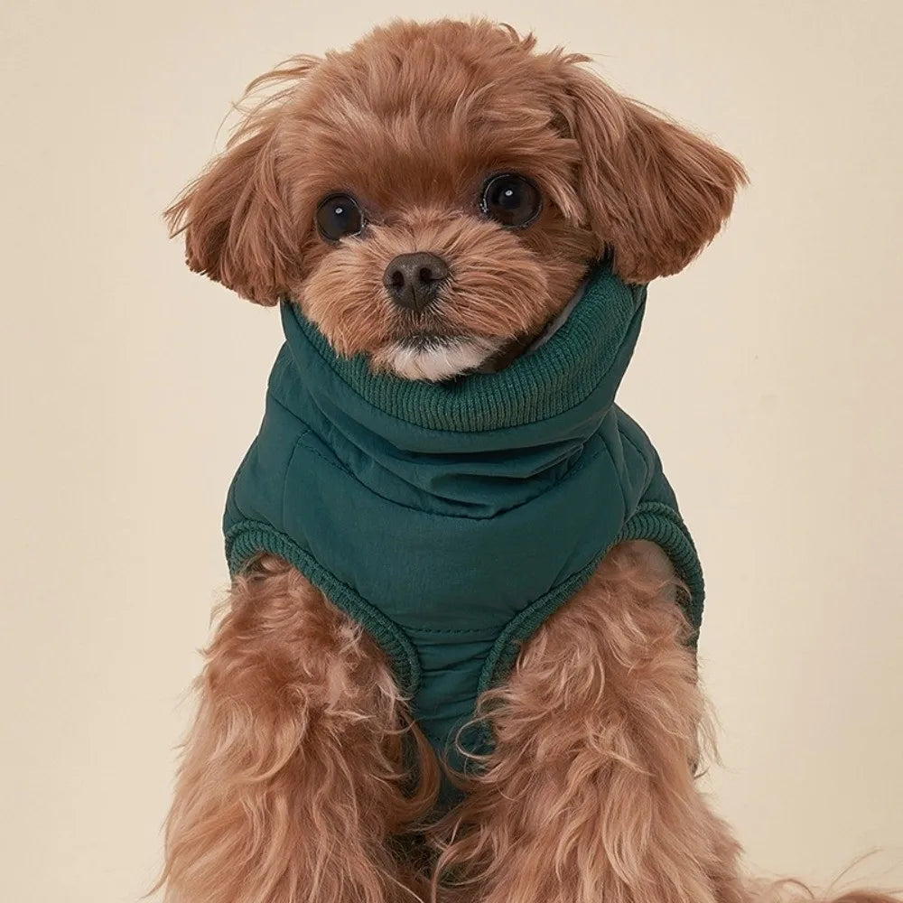 Windproof Padded Dog Winter Jacket for Small & Medium Dogs Dog Winter Jacket Richie's
