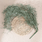 Artificial Hanging Grass Plant 91cm – Faux Green Wall Décor Artificial Hanging Plant Richie's Dark Green