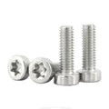 304 SS Torx Low Profile Machine Screws M1.6 to M8 | JARBLUE Machine Screws Richie's 10PCS M6 3mm