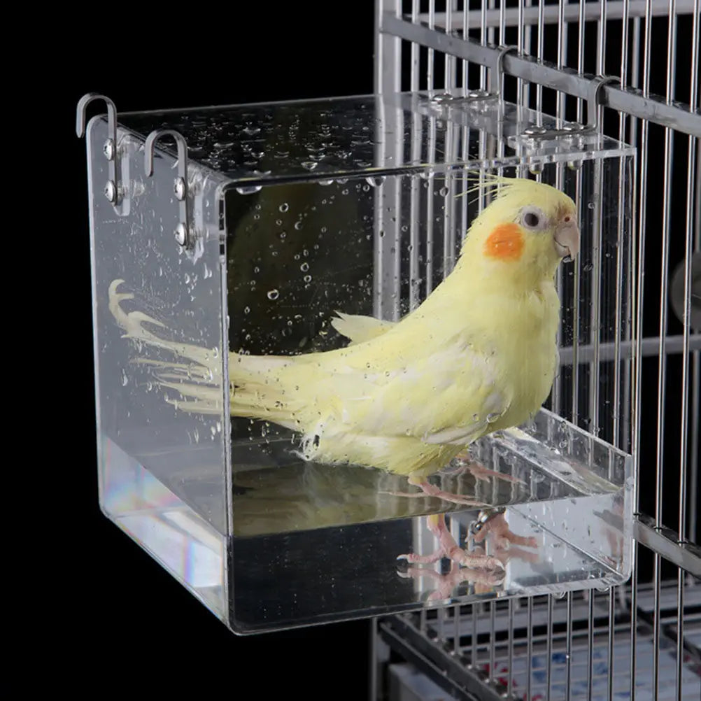 Transparent Hanging Bird Bath Basin for Parrots & Small Birds Bird Bath Basin Richie's Default Title