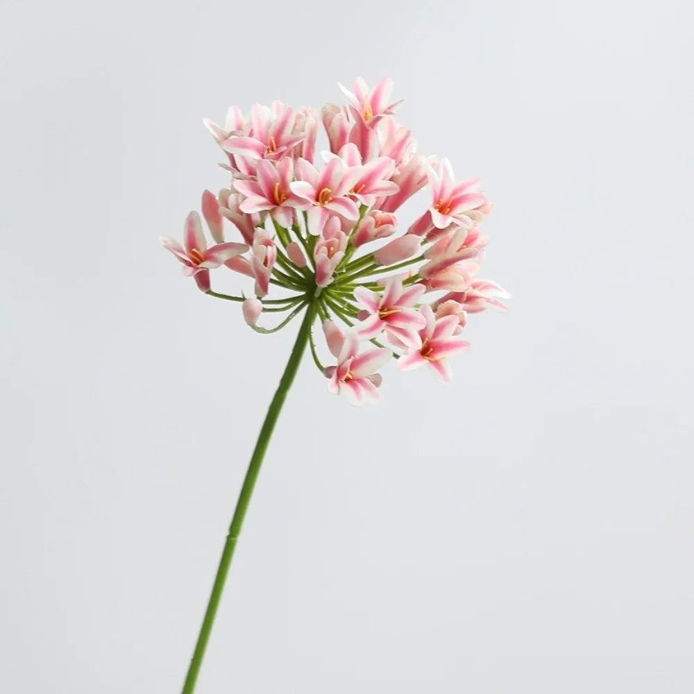 Artificial Agapanthus Flower Branch 75cm – Faux Floral Decor Artificial Flower Branch Richie's