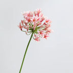Artificial Agapanthus Flower Branch 75cm – Faux Floral Decor Artificial Flower Branch Richie's