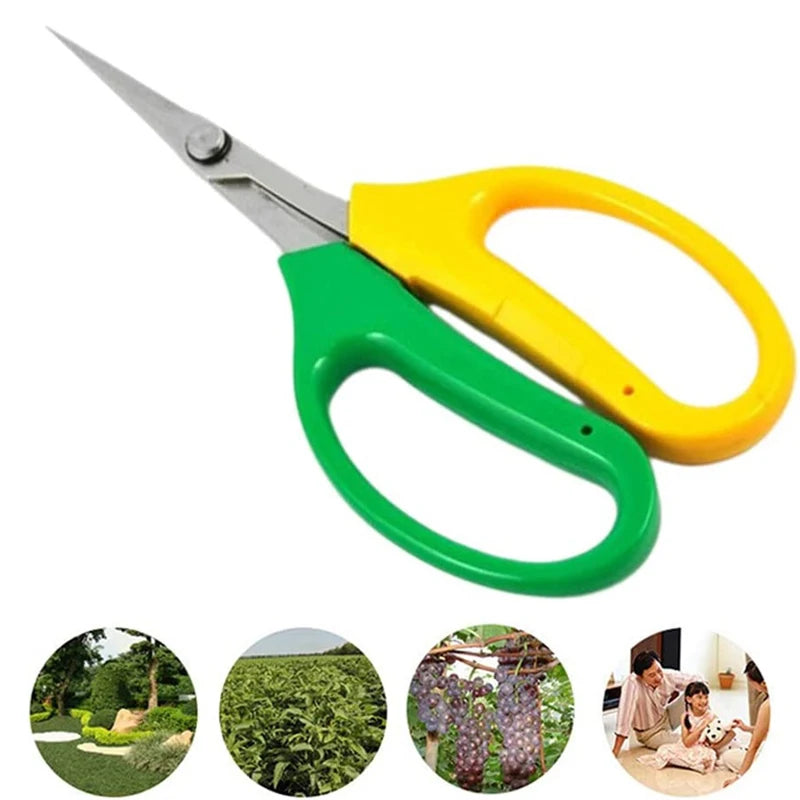 Garden Pruning Shears – Stainless Steel Bypass Scissors for Fruit Pruning Shears Richie's