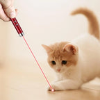 Cat Laser Pointer Toy Pen – LED Keychain Flashlight for Cats Cat Laser Toy Richie's