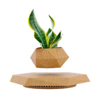 Magnetic Levitation Floating Bonsai Pot Geometric Desk Ornament Levitating Desk Ornament Richie's Wood Grain Color