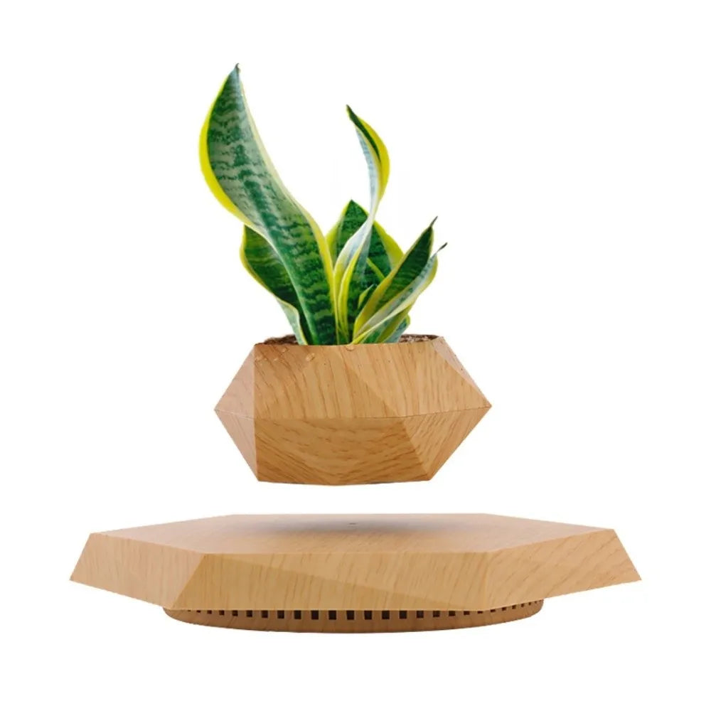 Magnetic Levitation Floating Bonsai Pot Geometric Desk Ornament Levitating Desk Ornament Richie's Wood Grain Color