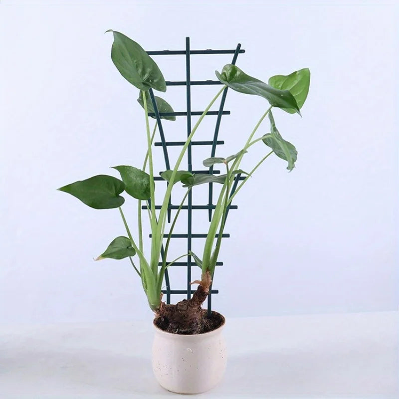 Stackable Plant Trellis Ladder – Indoor & Outdoor Climbing Support Plant Trellis Ladder Richie's