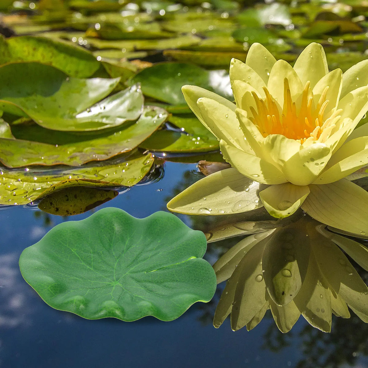 10Pcs Artificial Foam Lotus Leaves Floating Pond Fish Tank Decor Artificial Pond Decor Richie's