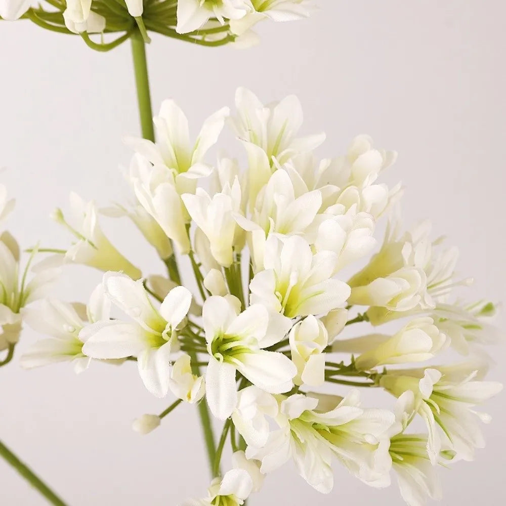 Artificial Agapanthus Flower Branch 75cm – Faux Floral Decor Artificial Flower Branch Richie's