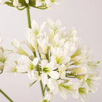 Artificial Agapanthus Flower Branch 75cm – Faux Floral Decor Artificial Flower Branch Richie's